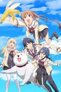 Aho Girl