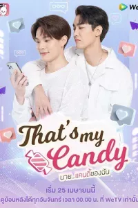 Chàng Candy Của Tôi