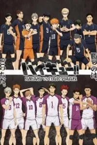 Haikyuu!! Karasuno Koukou vs. Shiratorizawa Gakuen Koukou