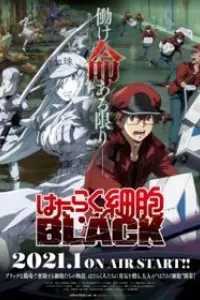 Hataraku Saibou Black