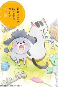 Inu to Neko Docchi mo Katteru to Mainichi Tanoshii