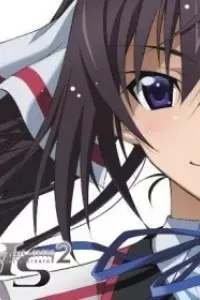 IS: Infinite Stratos 2 - Hitonatsu no Omoide