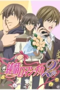 Junjou Romantica 2