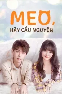 Meo, Hãy Cầu Nguyện