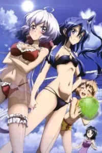 Senki Zesshou Symphogear G: Senki Zesshou Shinai Symphogear