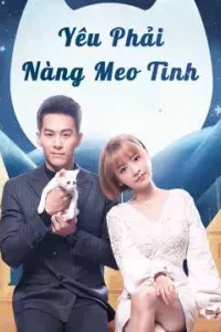 Yêu Phải Nàng Meo Tinh