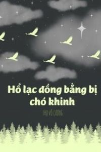 Hổ Lạc Đồng Bằng Bị Chó Khinh