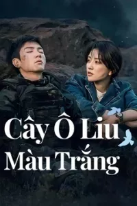 Cây Ô Liu Màu Trắng